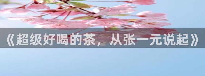 安信12级灯牌