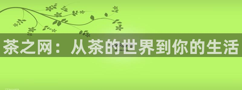 安信12平台的网址