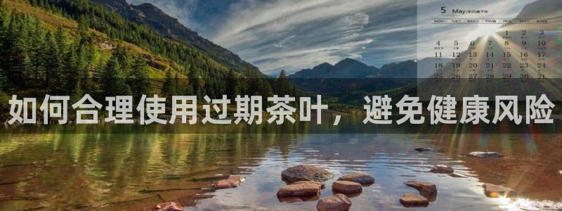 安信12怎么下载