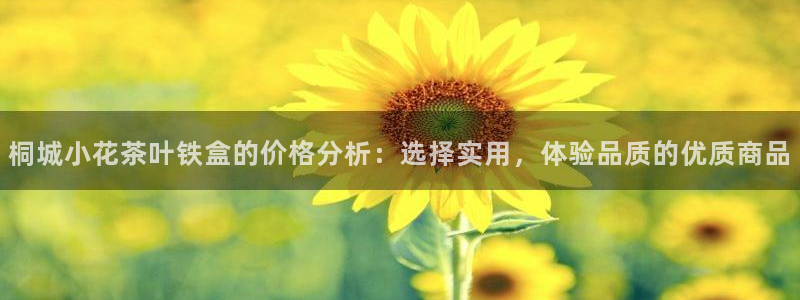 安信12是什么软件