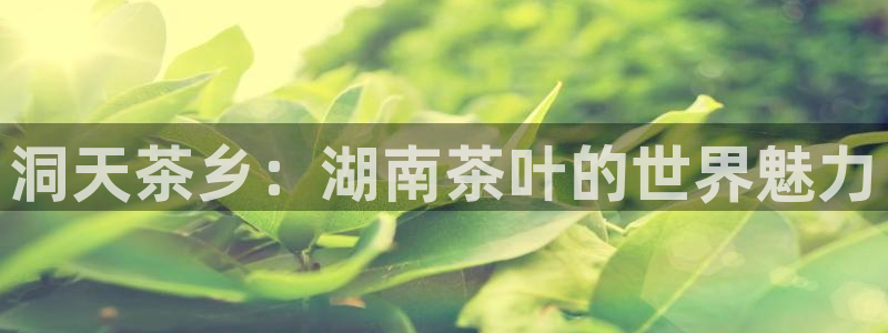 安信t12