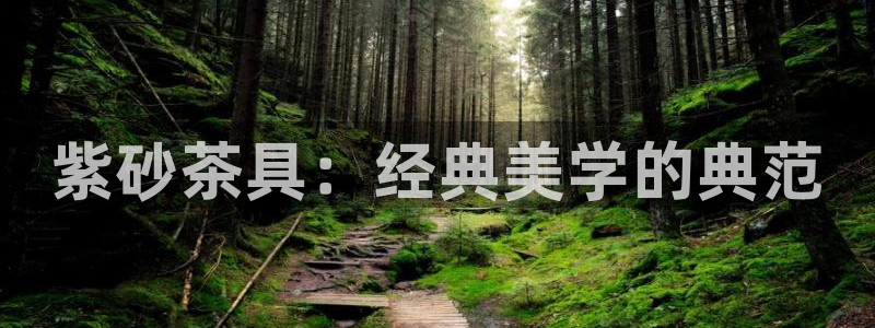 安信 12