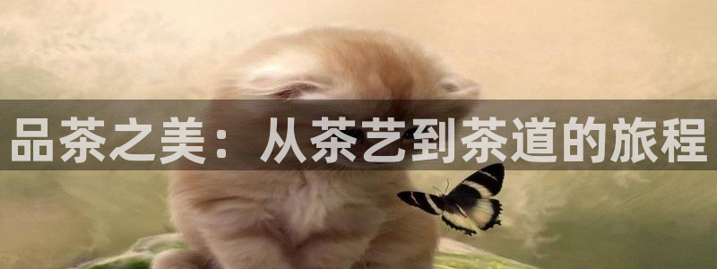 安卓12微信