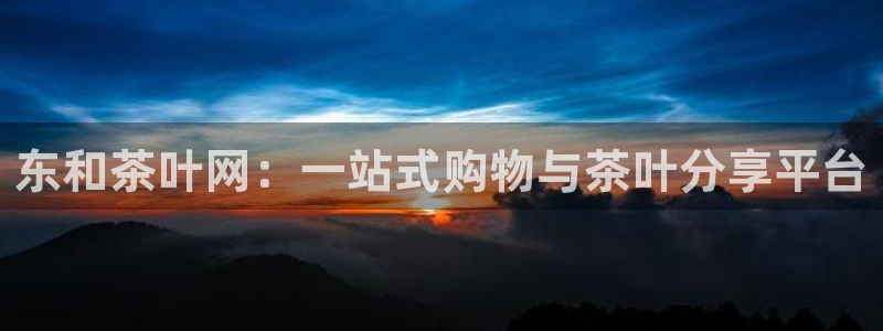 安信312 12
