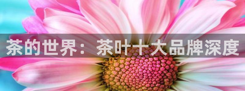安信12是什么平台