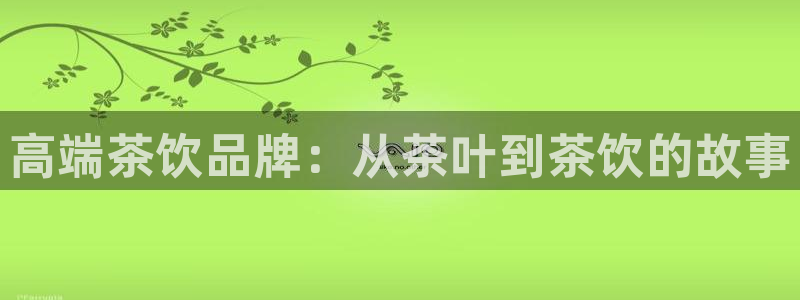 安信12挂机