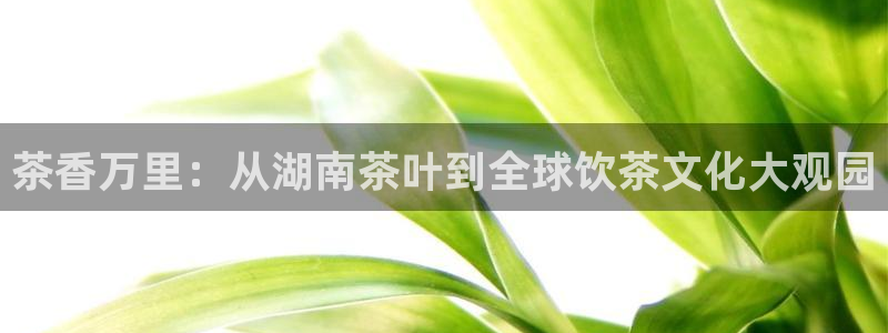 安信12平台最新消息