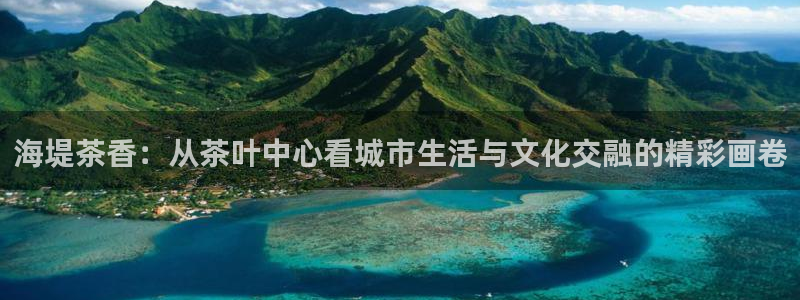 安信12位数资金号
