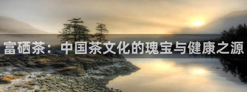 安信卓越12月