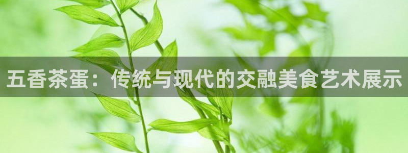 安信可12e12f