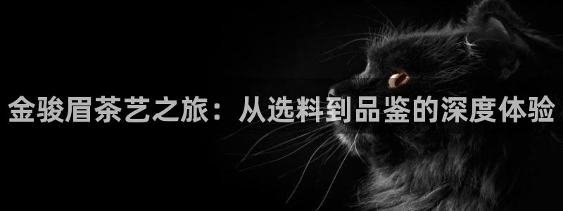 安信证券手机壳12