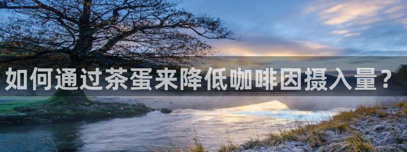 下载安信12