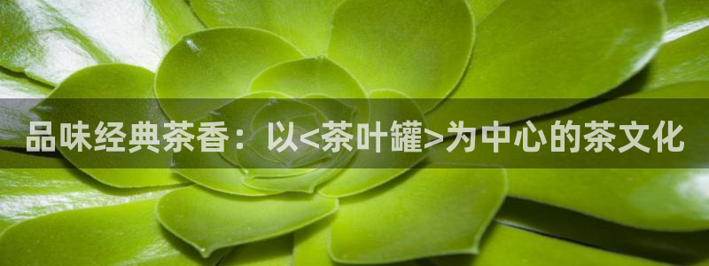 安信12是正规还是仿