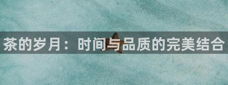 安信12软件介绍
