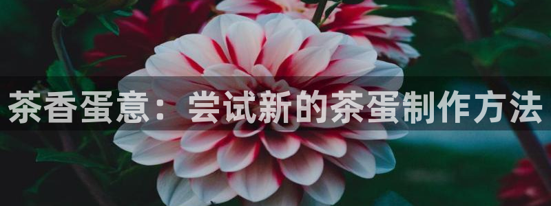 安信12平台怎么样