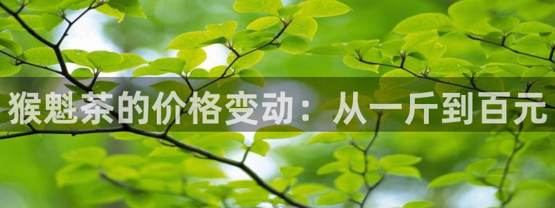 安信12真假