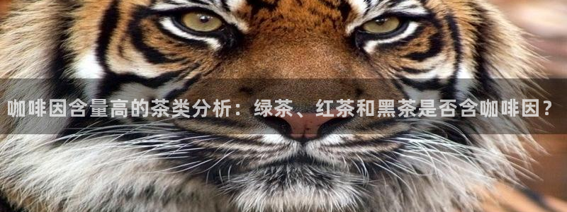 安信主管ke金12手12指ho