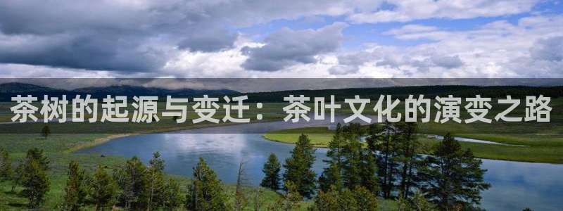 安信可12f代码