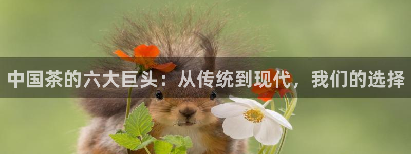 安信12周年庆