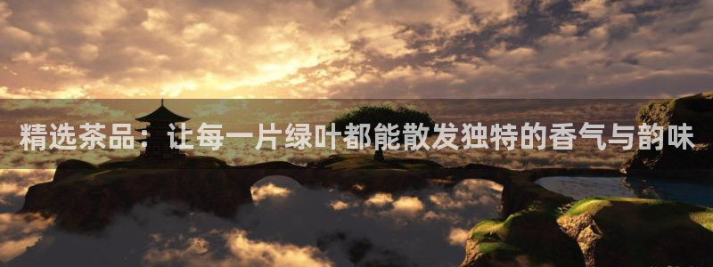 安信12月金股