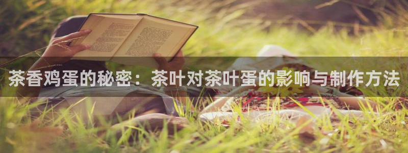 安信12账号