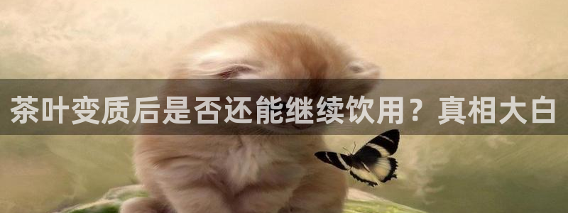 安信12