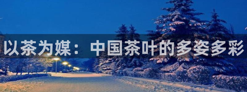 安信12是什么软件