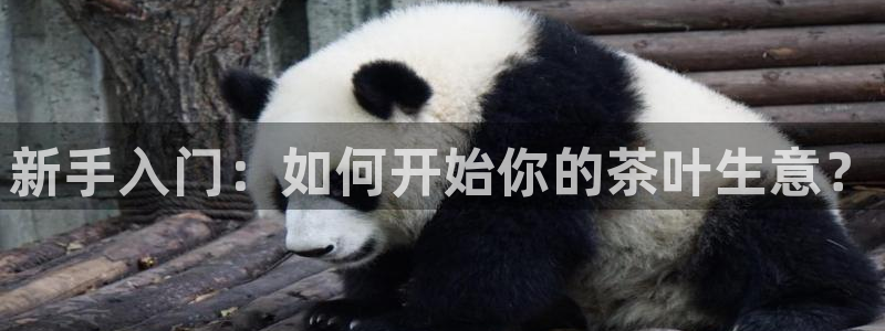 安信esp12
