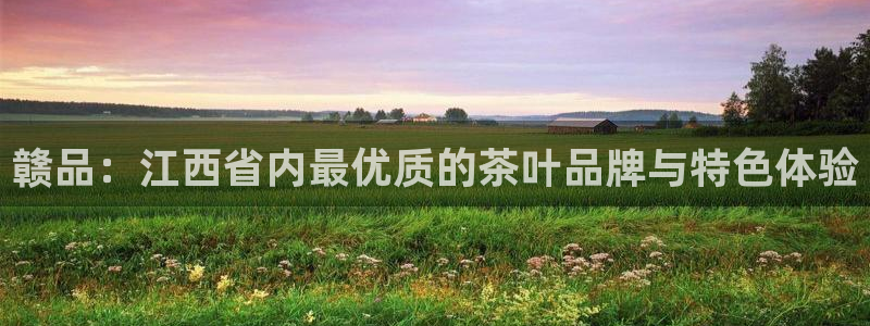 安信12娱乐主管