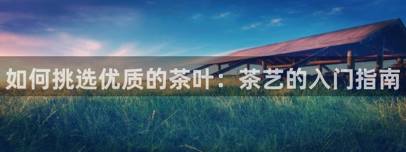 安信12正版下载