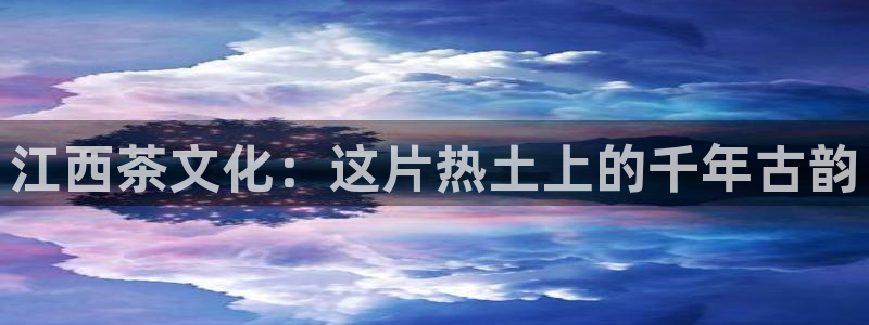 安信安翼 12账号