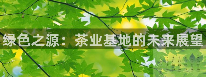 安信12位资金账号
