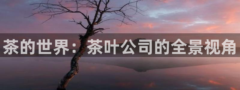 安信安翼 12账号