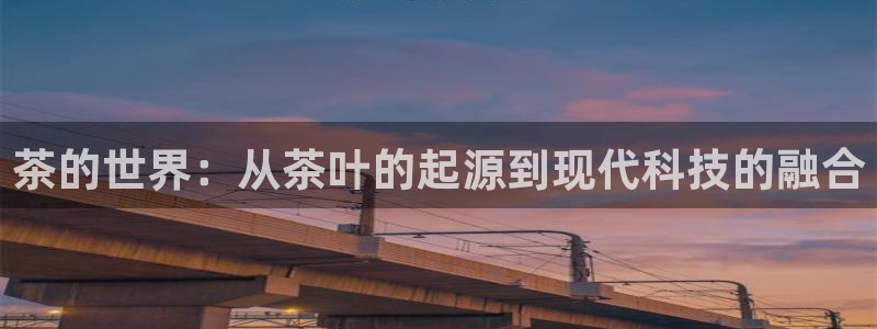 安信12是正规平台吗