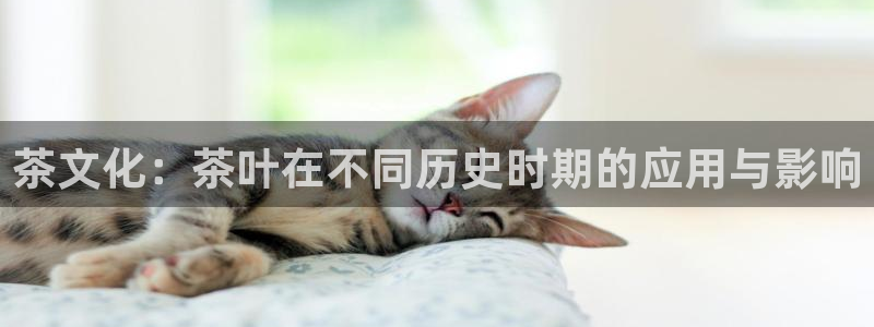 安信12怎么下载