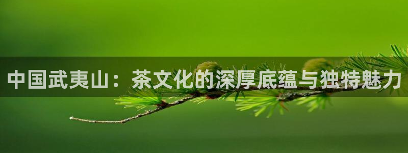 安信12是正规平台吗