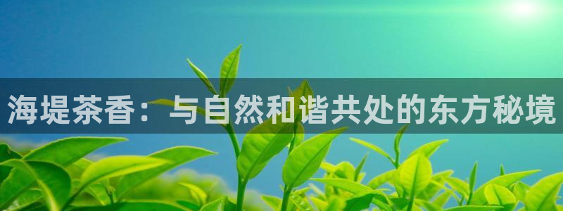 安信12是正轨网站吗
