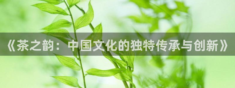 安信12官网qq