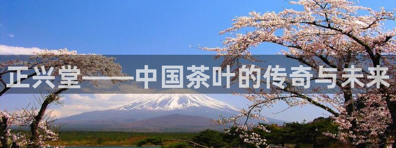 安信12彩票