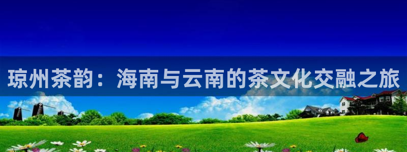 安信可wb12