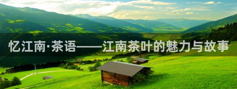 安信12周年庆