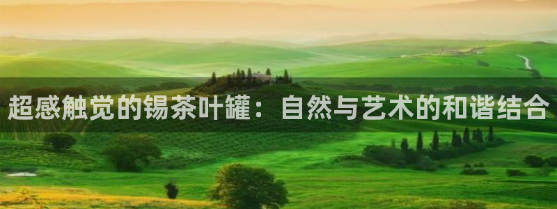 安信12位数资金号