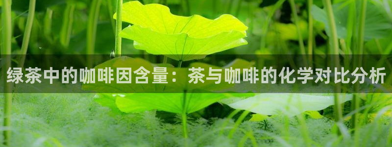 安信12平台开户