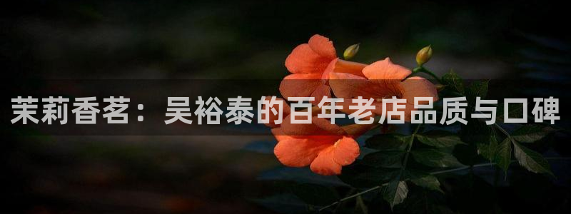 安信12想开户
