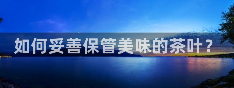 安信12级大众