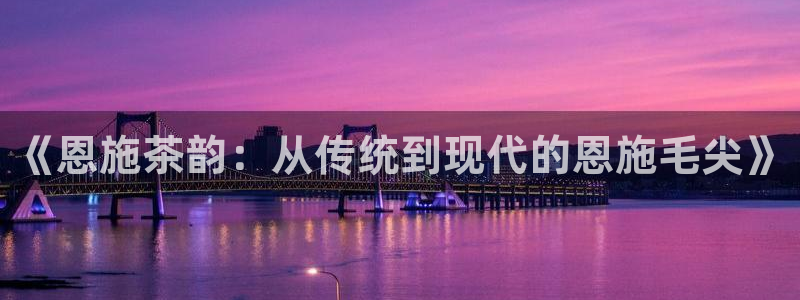 安信312 12