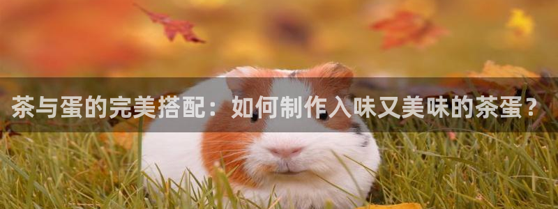 安信12专用挂机