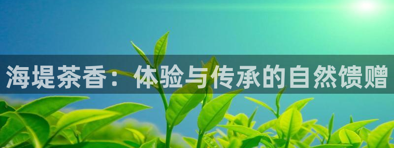 安信12账号