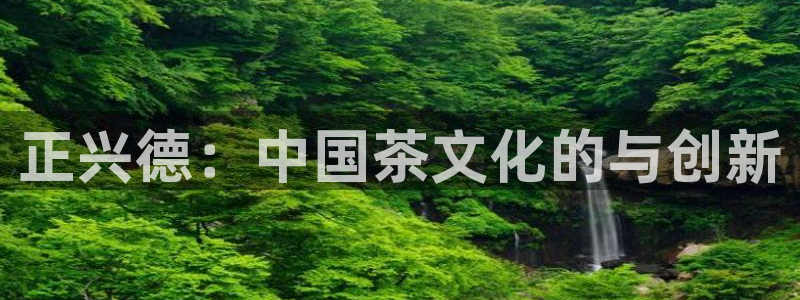 安立信T12测评