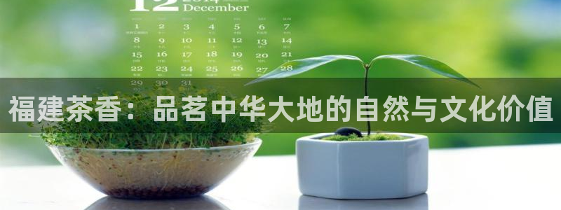 安信cwa12